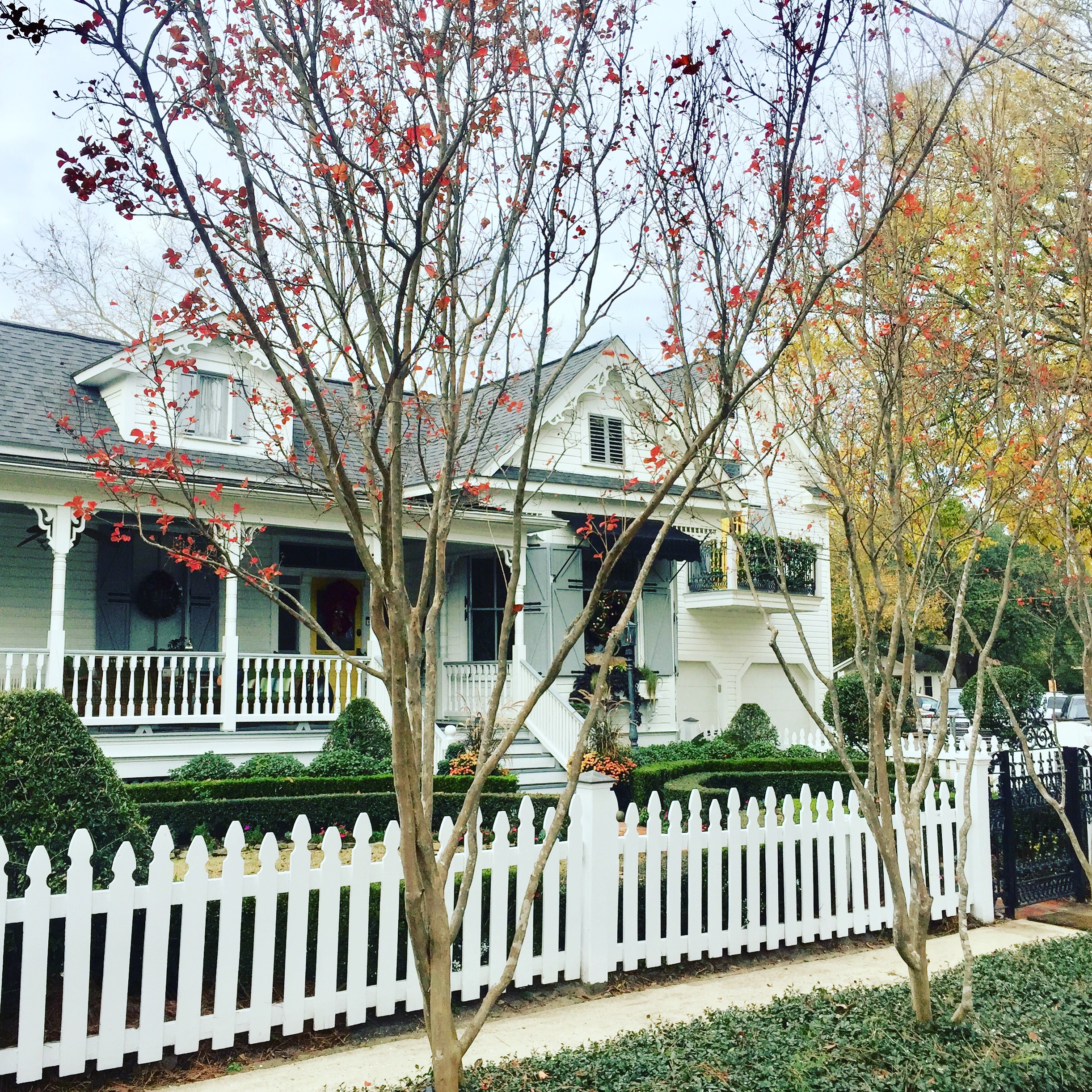 Curb View to Front Garden